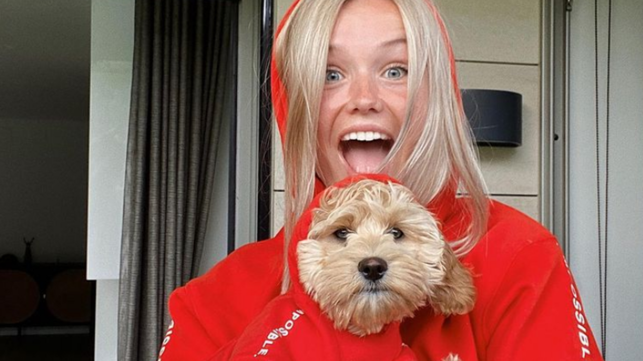 Illustratie voor: Doggylove: Ben & Jerry lanceert ijs speciaal voor honden