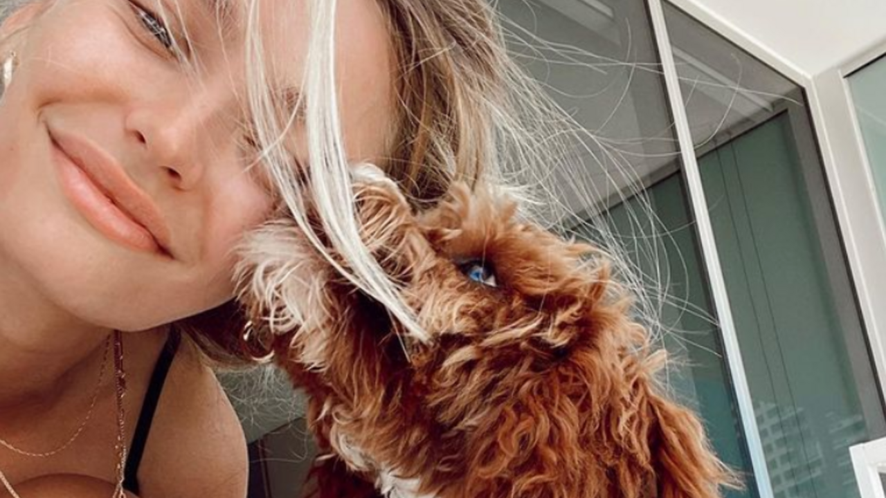 Illustratie voor: Wow: op deze site kun je nu een hondje lenen om mee te wandelen