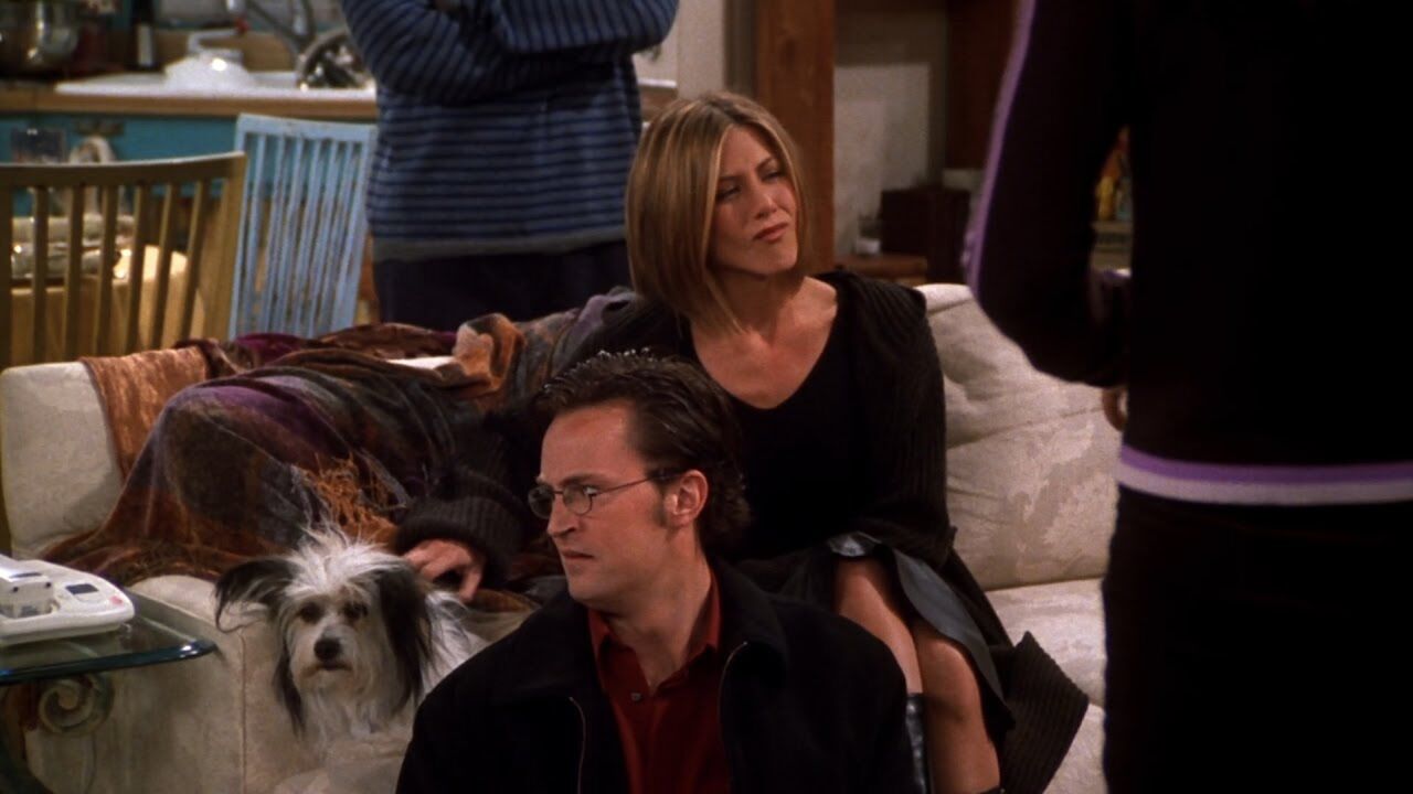 Illustratie voor: Het Instagram account van Friends-acteur Matthew Perry’s puppy is een hit!