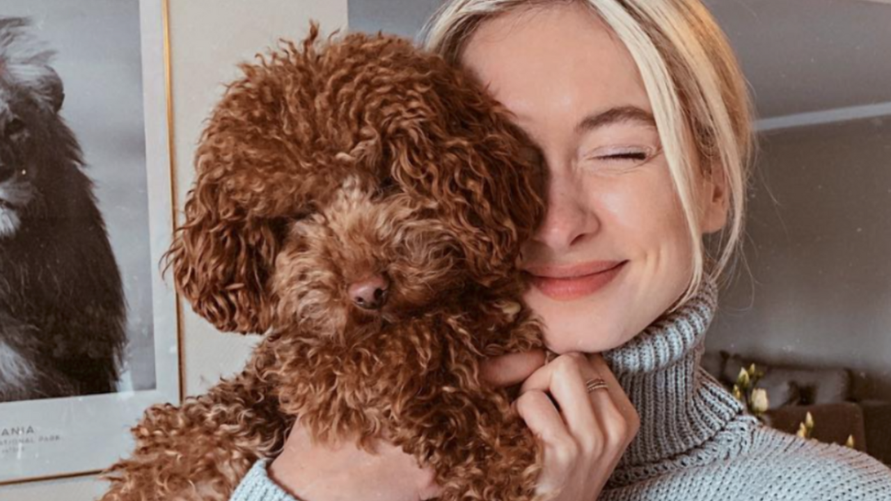 Illustratie voor: Wow: dit bedrag ben jij jaarlijks kwijt aan je hond