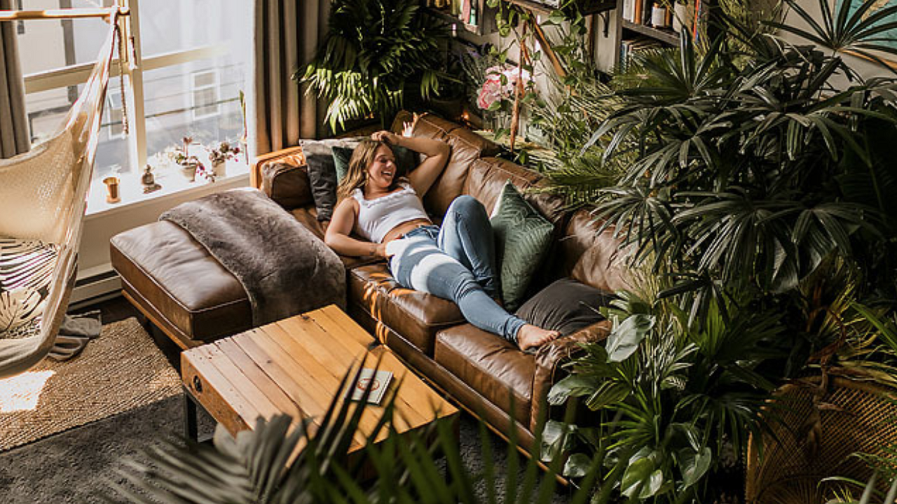 Illustratie voor: Gaan je planten snel dood? Speel een muziekje voor ze af