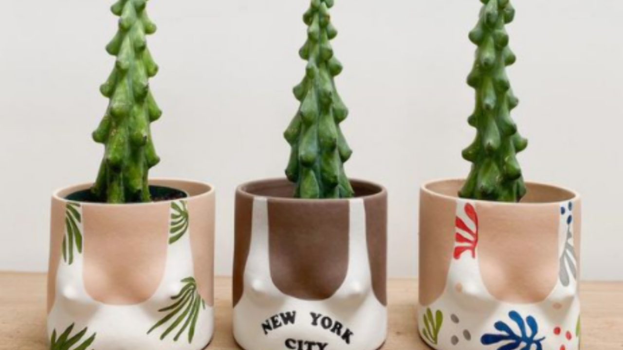 Illustratie voor: Leuke accessoire: dit borstenplantje wil je zeker hebben