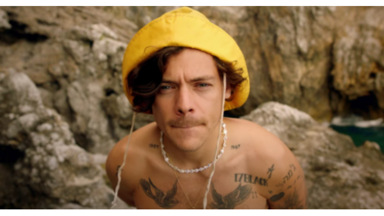 Harry Styles FEM FEM