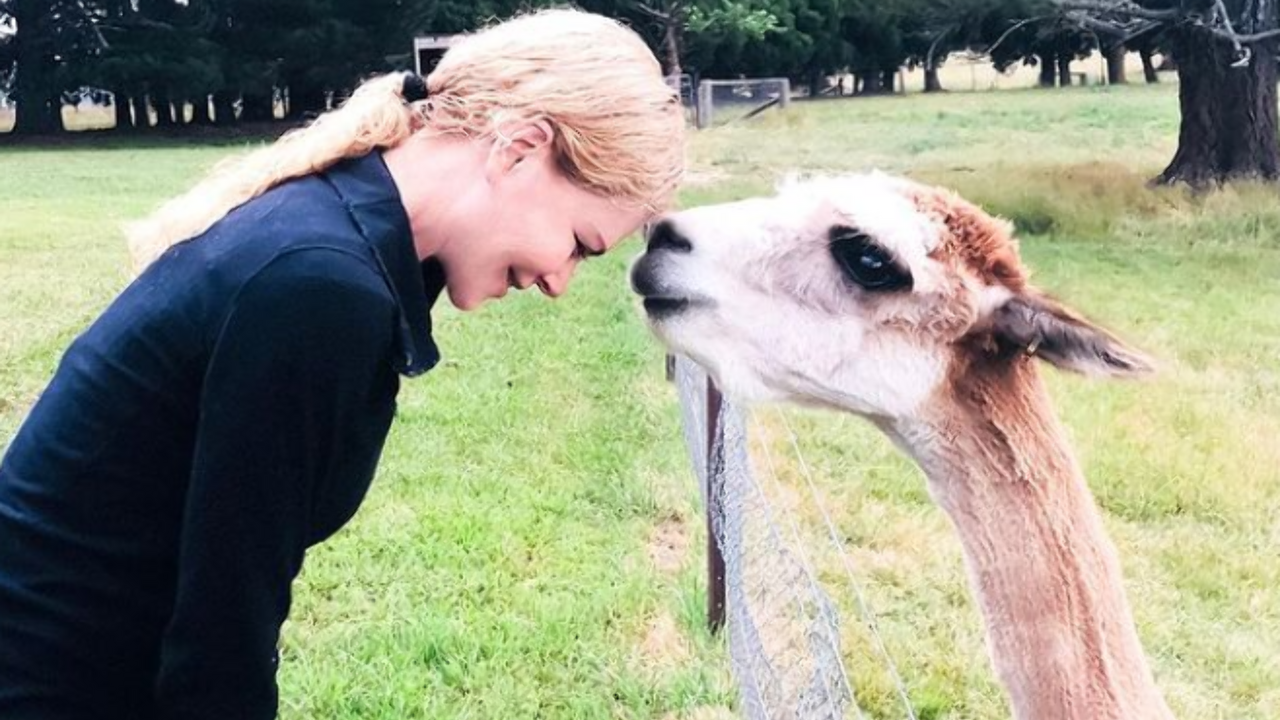 Illustratie voor: Deze celebrities hebben de meeste bizarre dieren als huisdier