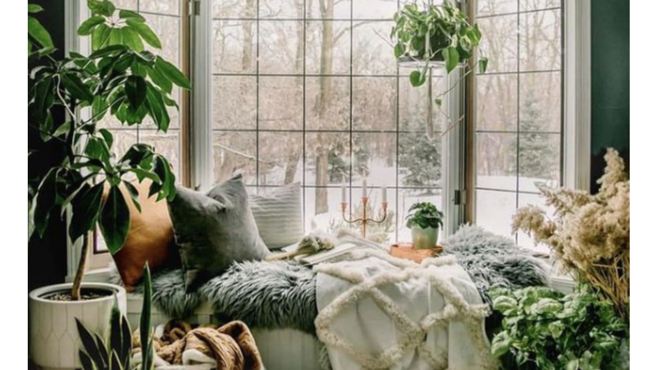 Illustratie voor: 5 x creatieve ideeën voor een interieur vol met planten