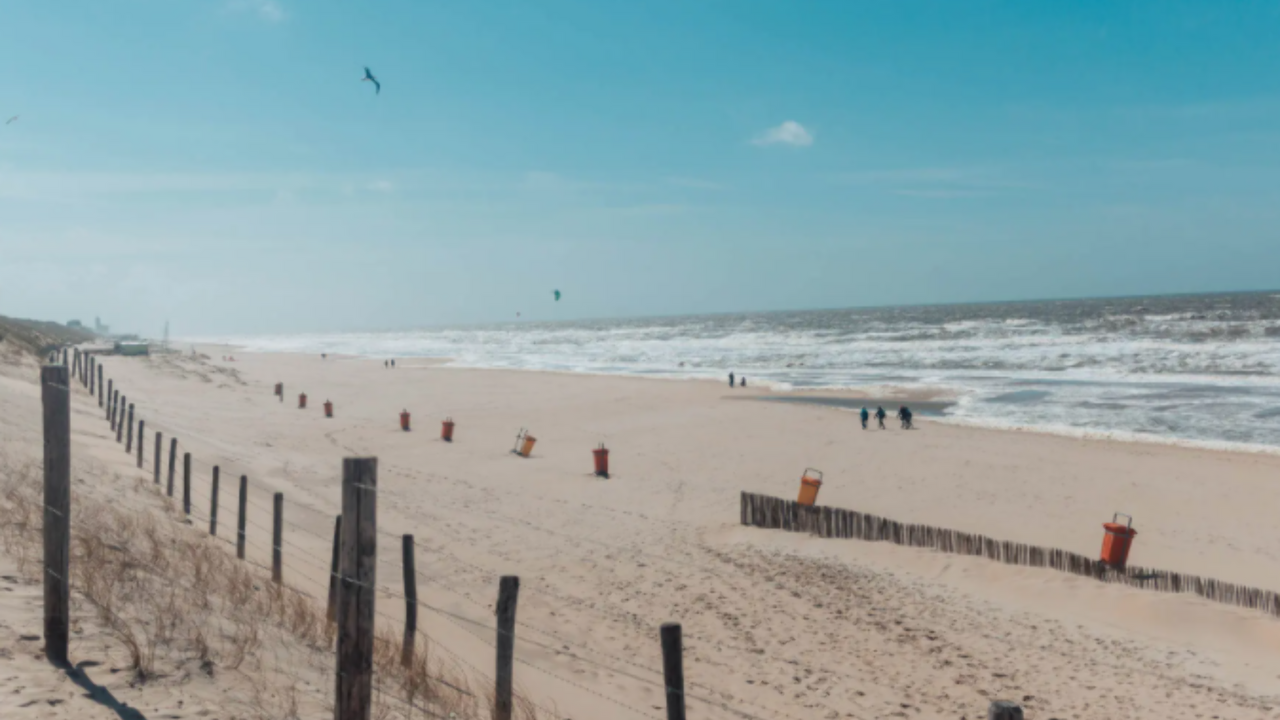 Illustratie voor: Zomer in eigen land: 3 leuke strandtenten in Bloemendaal aan Zee