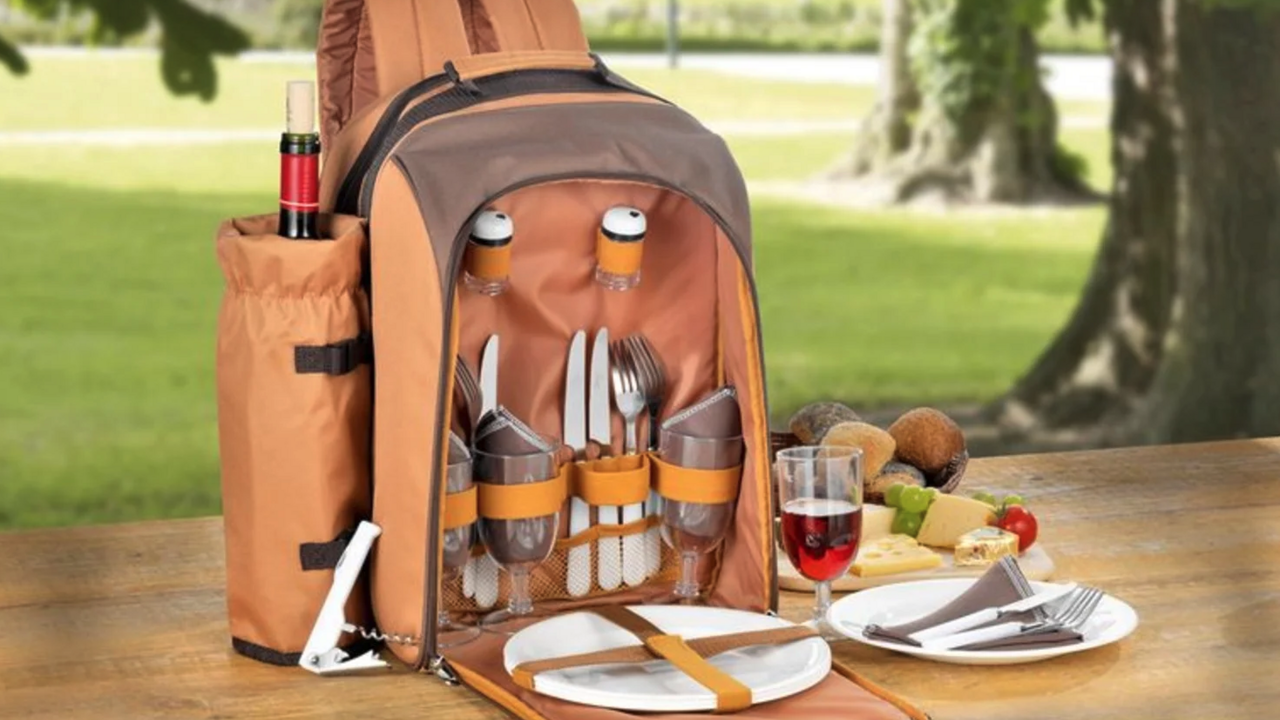 Illustratie voor: Summer ready: Lidl verkoopt nu een luxe picknick-rugtas mét wijnhouder