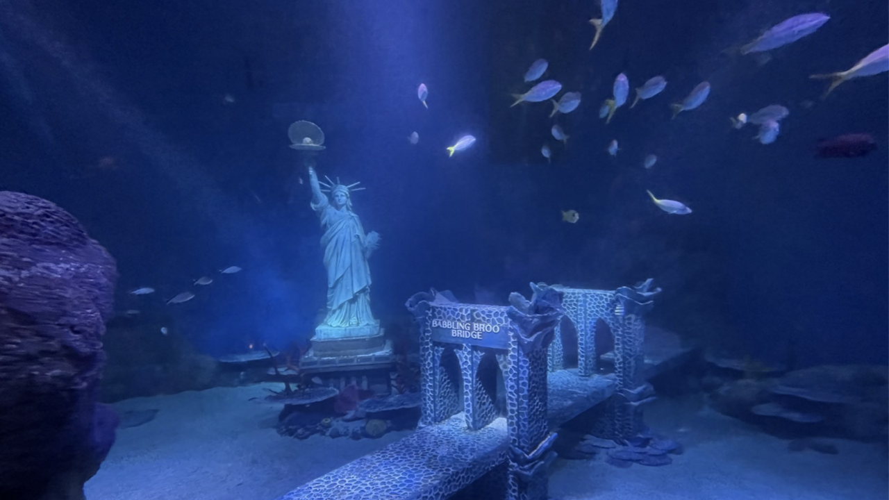 Illustratie voor: Dit interactieve aquarium is helemaal in New York-stijl