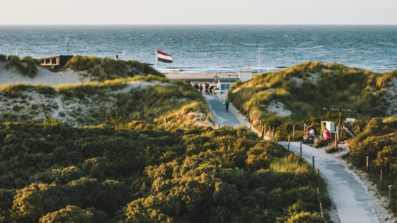 Illustratie voor: Zomer in eigen land: 3 leuke strandtenten in Oostkapelle