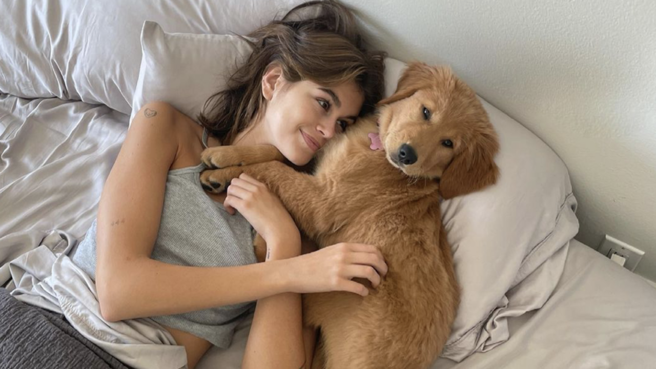 Illustratie voor: De It girls met de allerliefste honden op Instagram