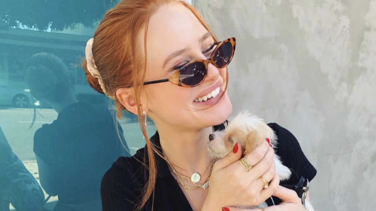 Illustratie voor: Van deze celebs wist je niet dat ze vegan waren