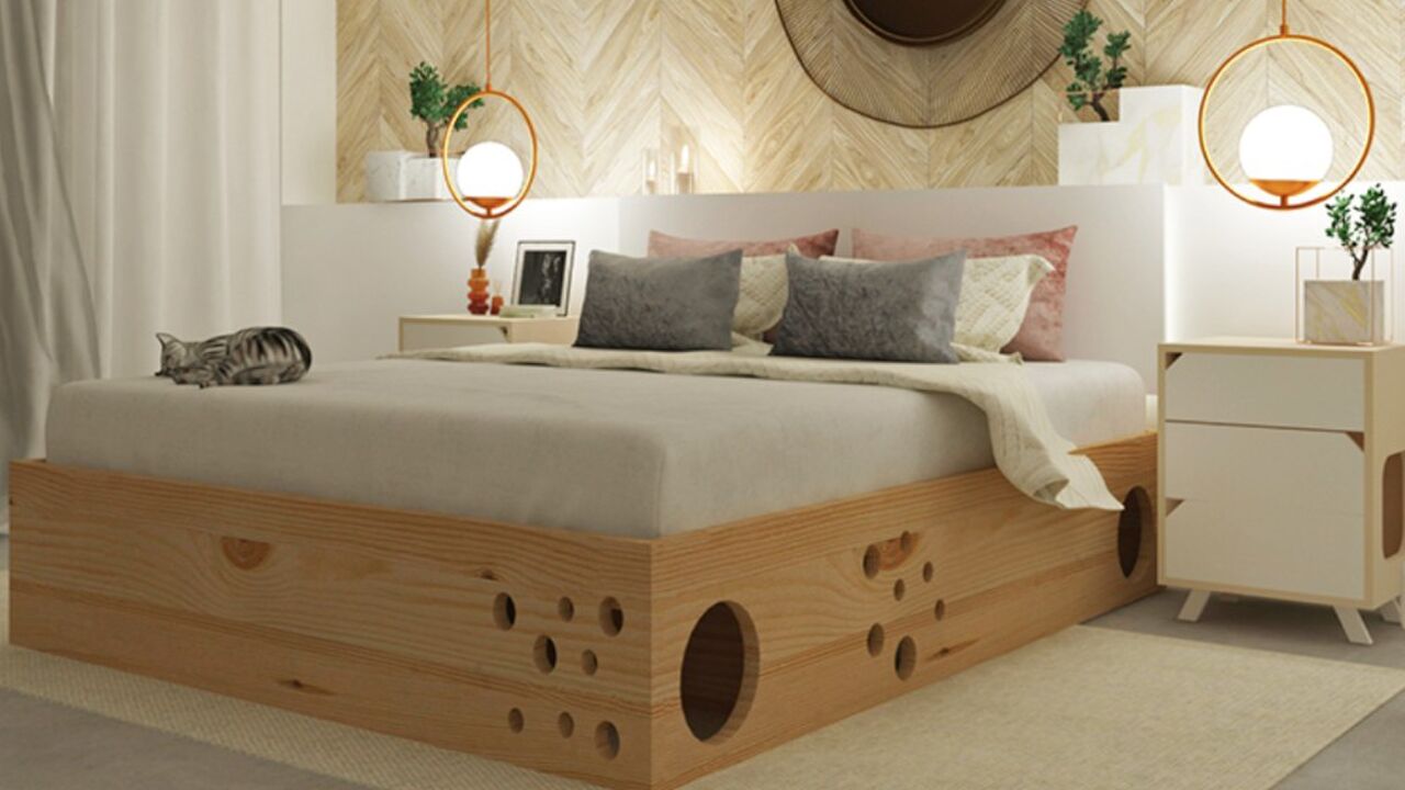 bed kattenliefhebbers