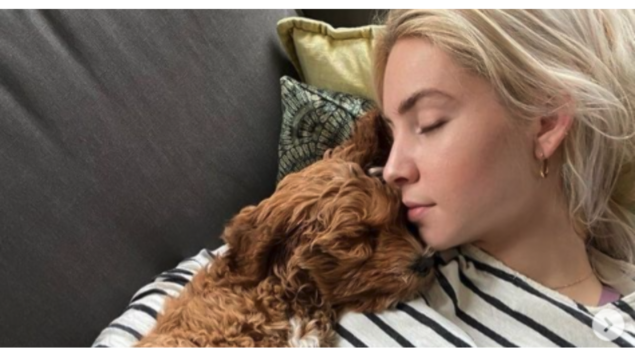 Science says: jouw hond is dus helemaal niet zo speciaal