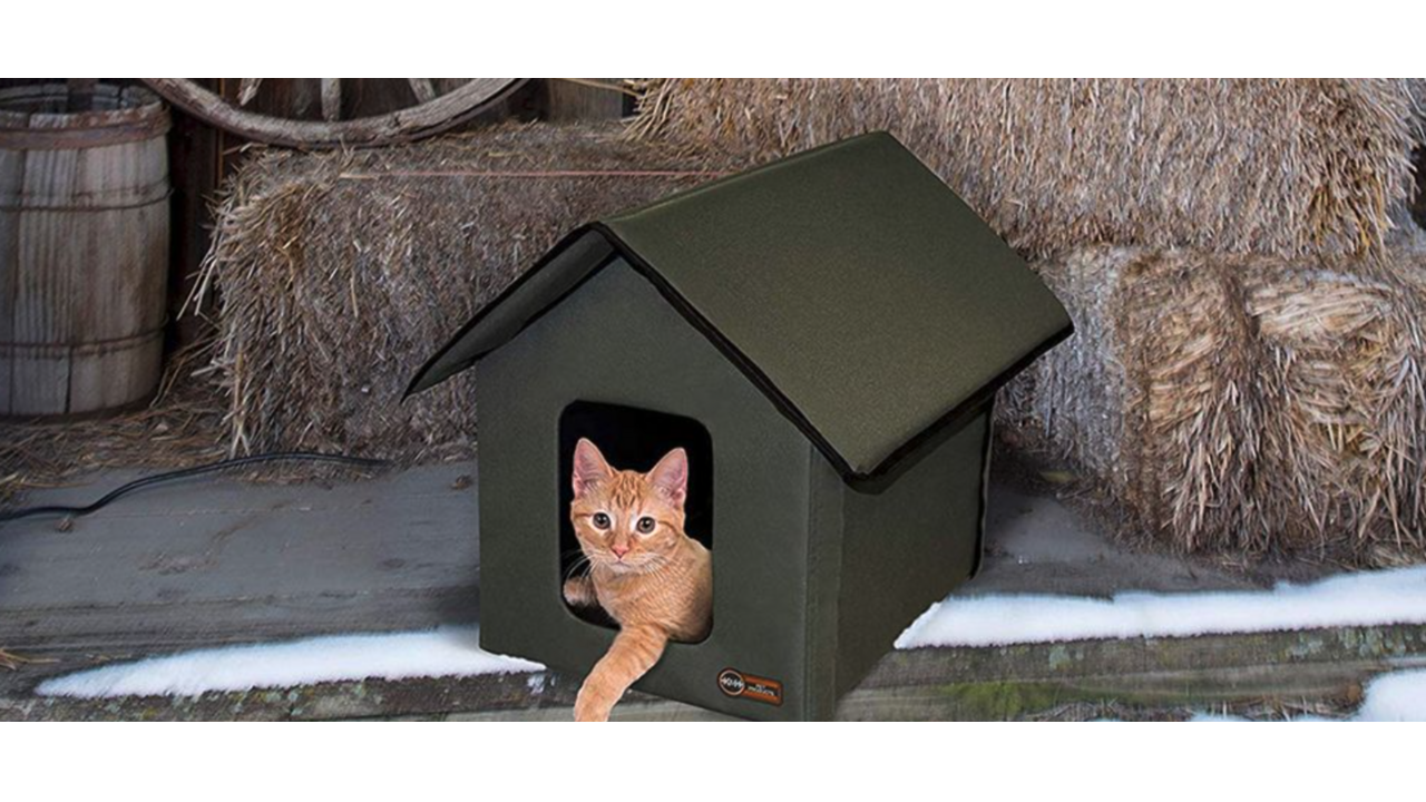 Illustratie voor: Met dit verwarmde kattenhuisje blijven je kittens de hele winter warm