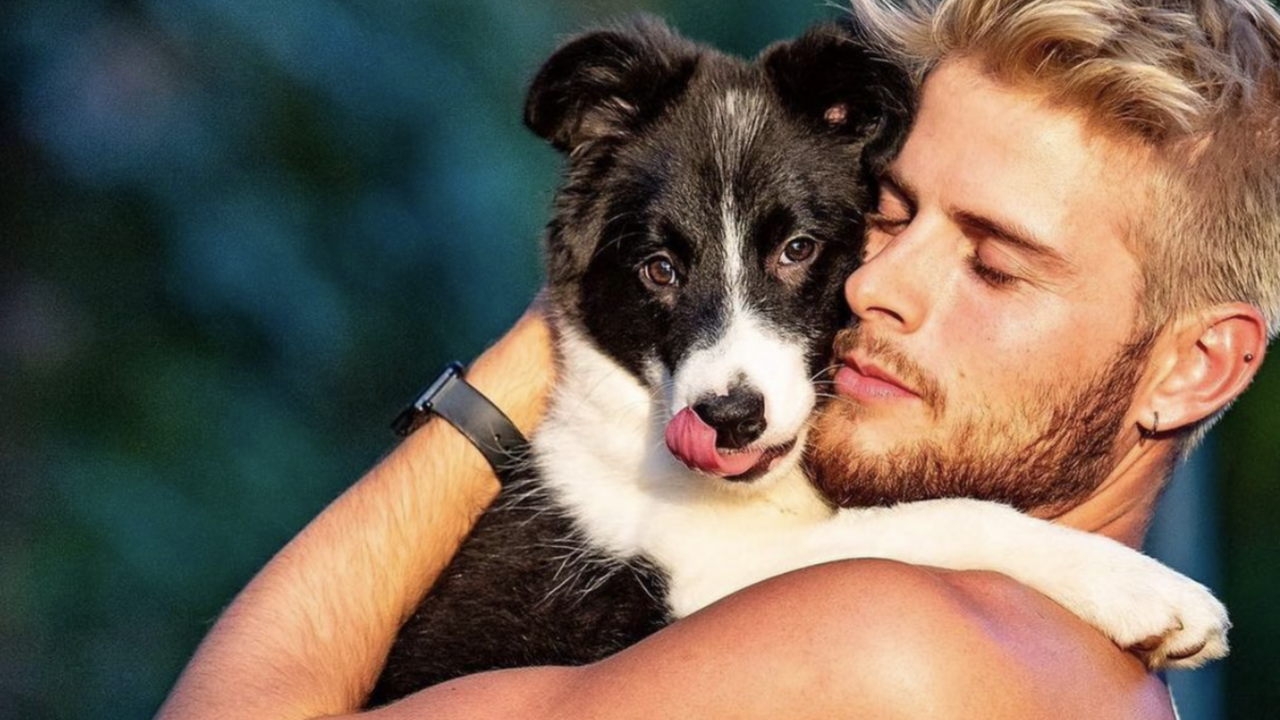 Knappe mannen met honden
