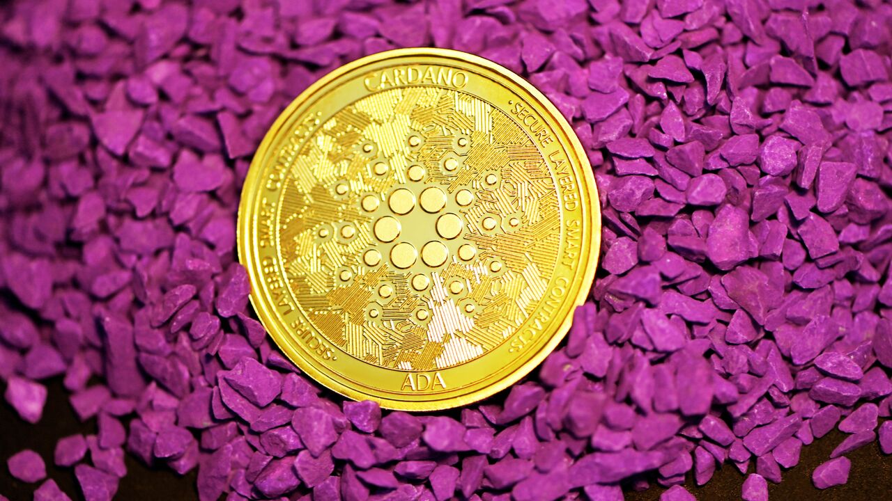 Illustratie voor: Wat is Cardano?