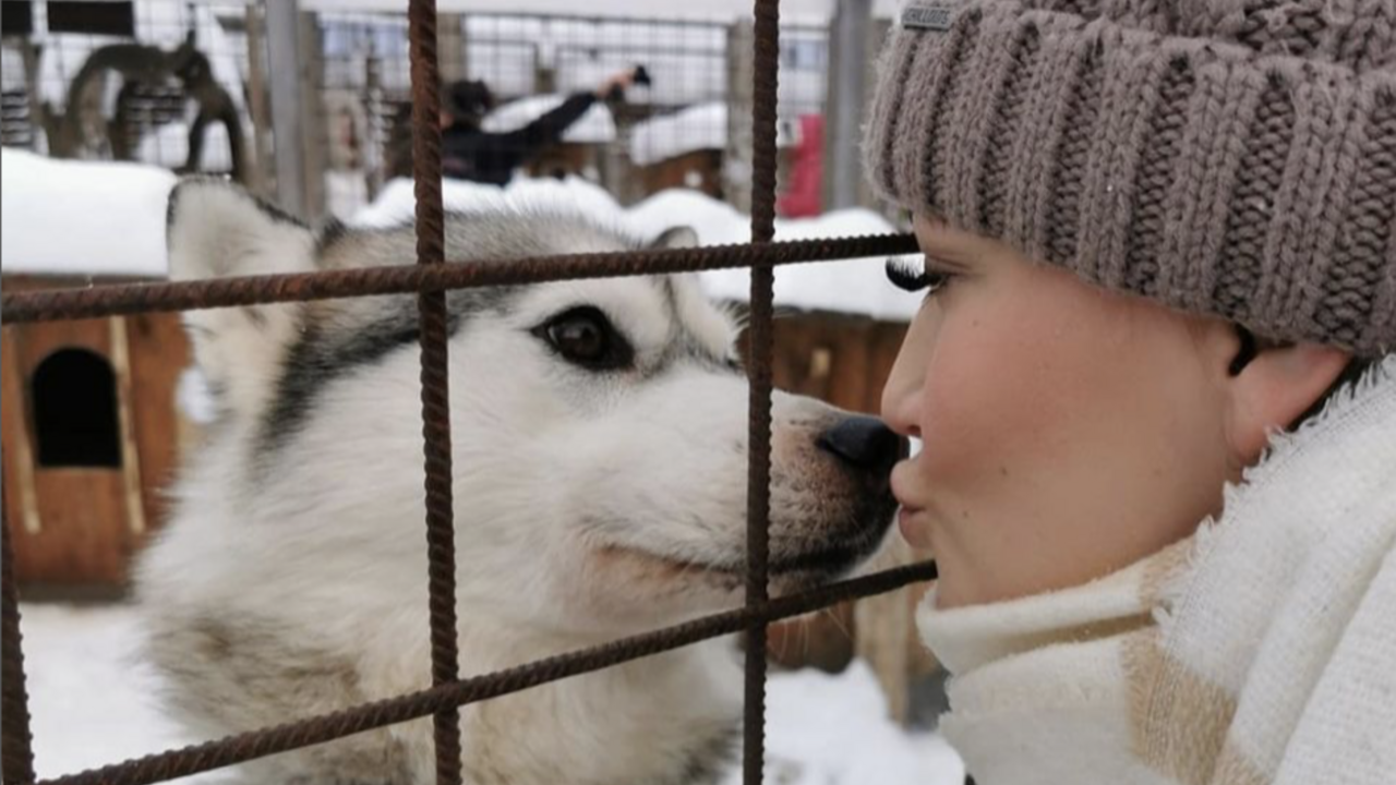 Illustratie voor: Dit is waarom iedereen één keer in z’n leven naar Lapland moet