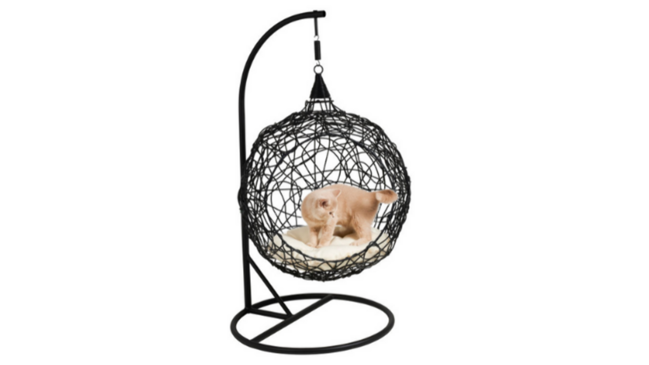 hangstoel voor je kat