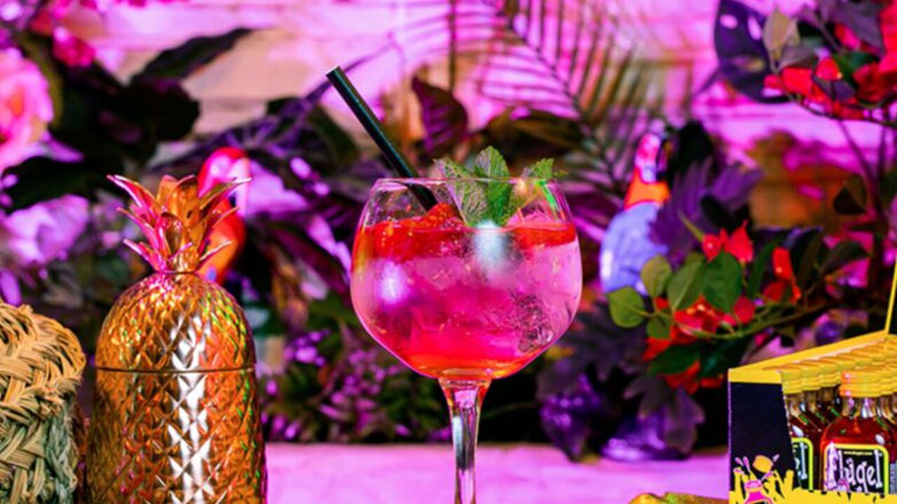 Flügel gin tonic