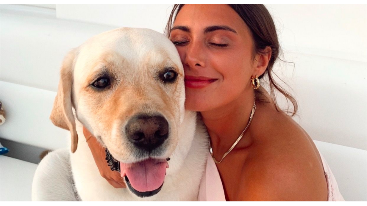 huisje hond huisdier