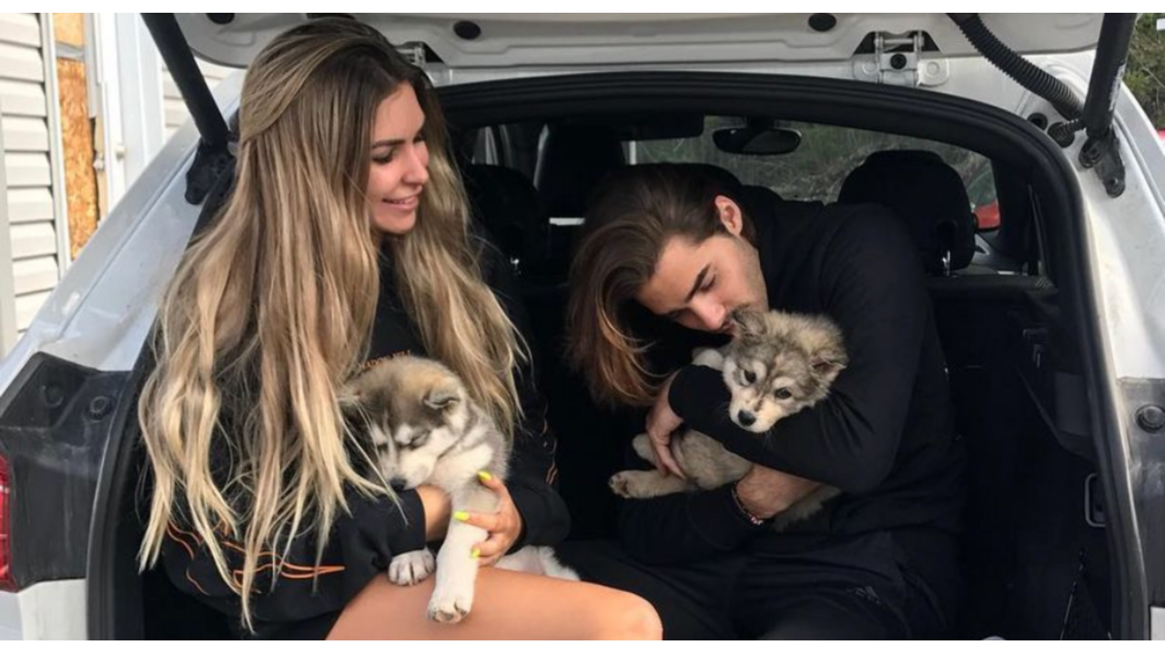 Familiehonden