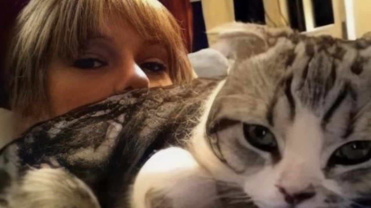 kat van Taylor Swift