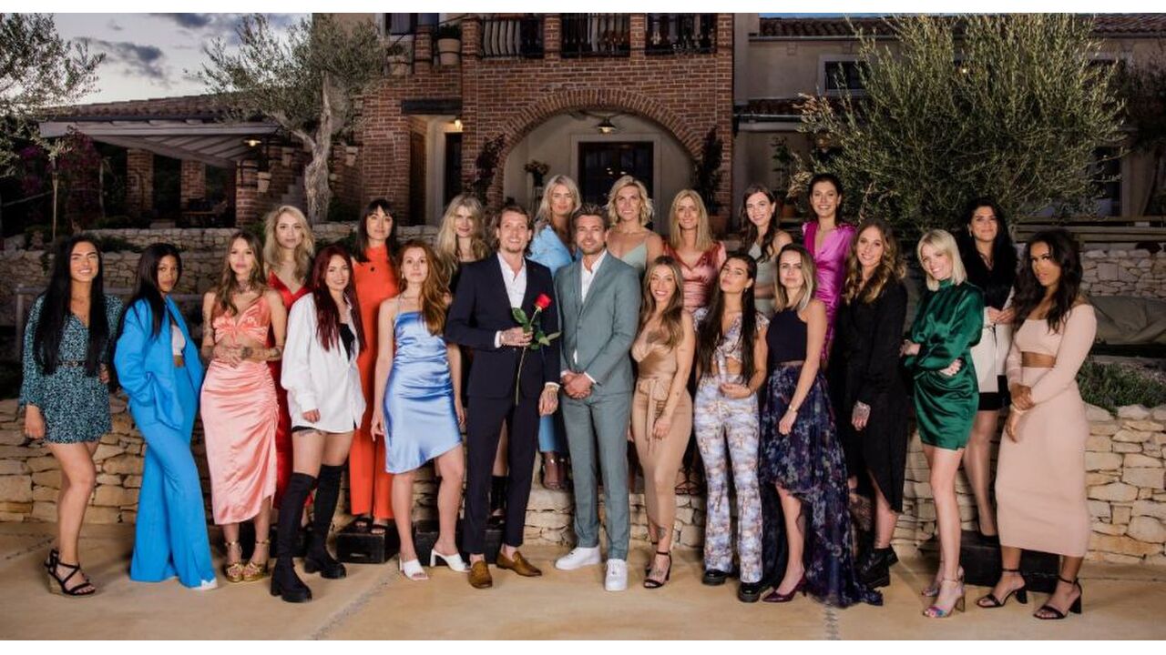 de bachelor