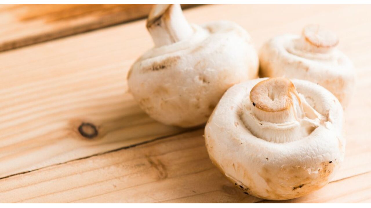 champignons
