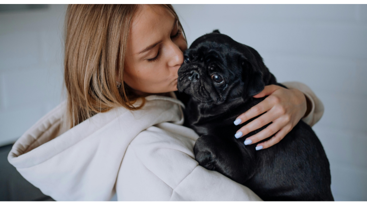 hond-vrouwelijk-baasje