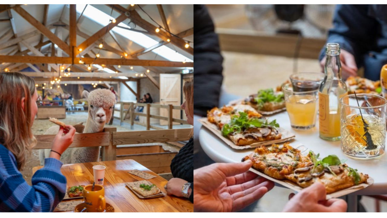 pizza-proeverij-alpacas