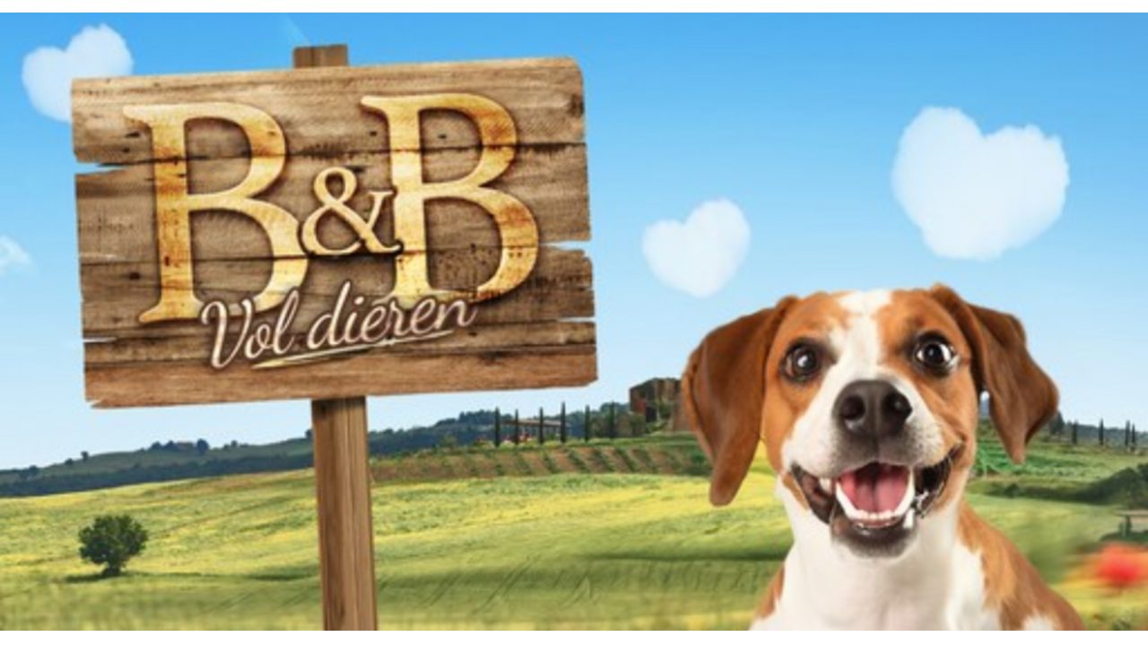 rien-welsink-de-bachelor-1