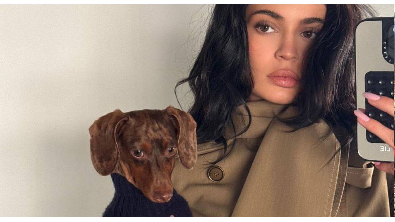 kylie jenner en timothee chalamet