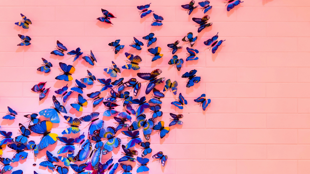 butterfly effect