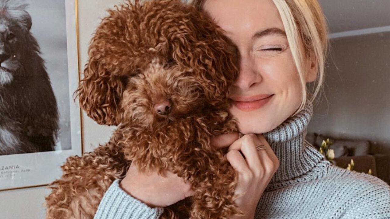 Illustratie voor: Science says: mensen met een hond leven langer