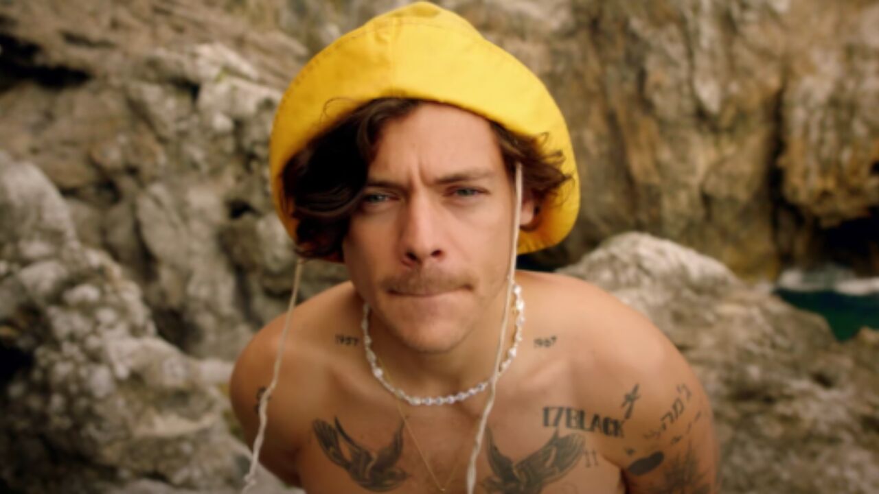 Harry Styles FEM FEM