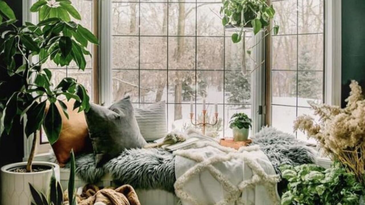 Illustratie voor: 5 x creatieve ideeën voor een interieur vol met planten