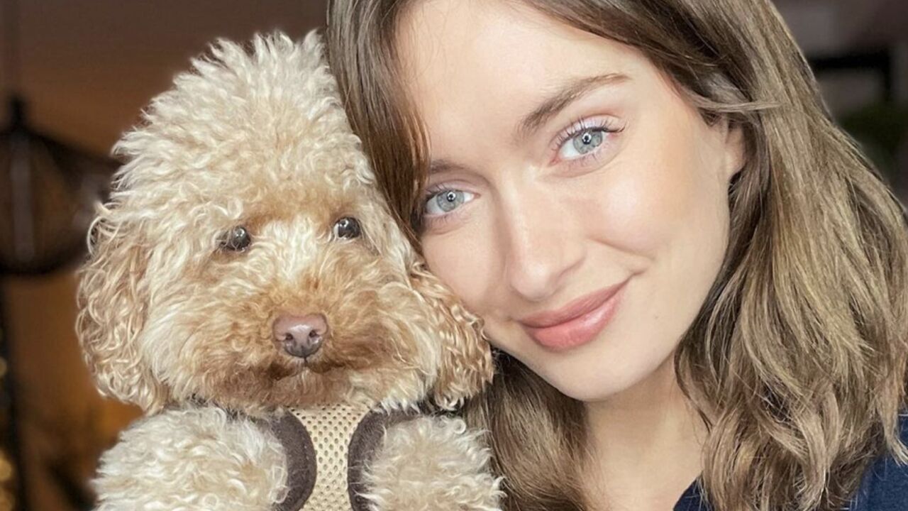 Illustratie voor: Eindelijk duidelijk: zo oud is je hond nu echt in mensenjaren