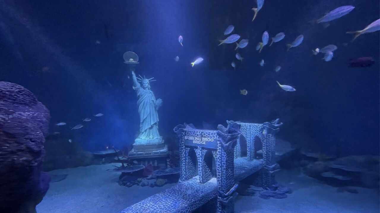 Illustratie voor: Dit interactieve aquarium is helemaal in New York-stijl