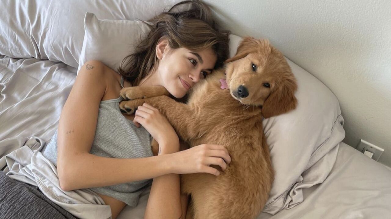 Illustratie voor: De It girls met de allerliefste honden op Instagram