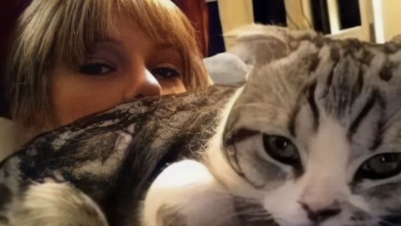 kat van Taylor Swift