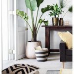 planten in huis