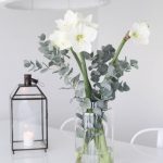 planten in huis