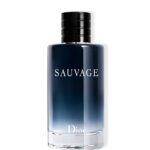 Sauvage Dior parfum