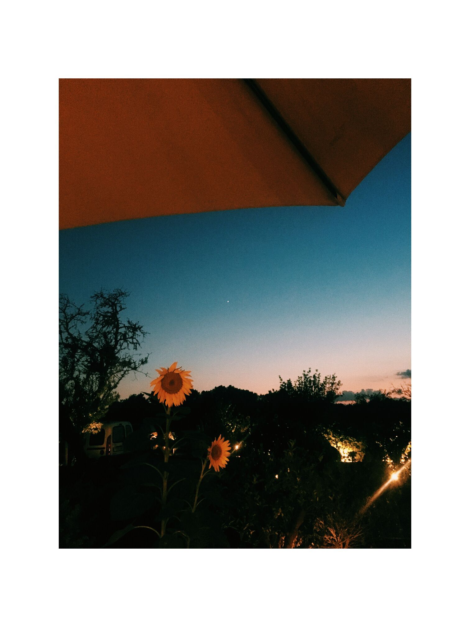Processed with VSCO with c1 preset