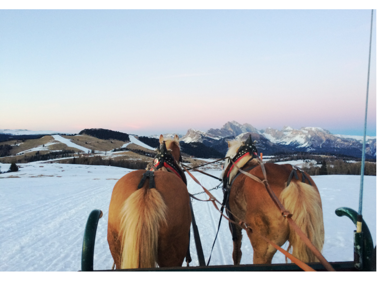sudtirol-paardenslee-femfem