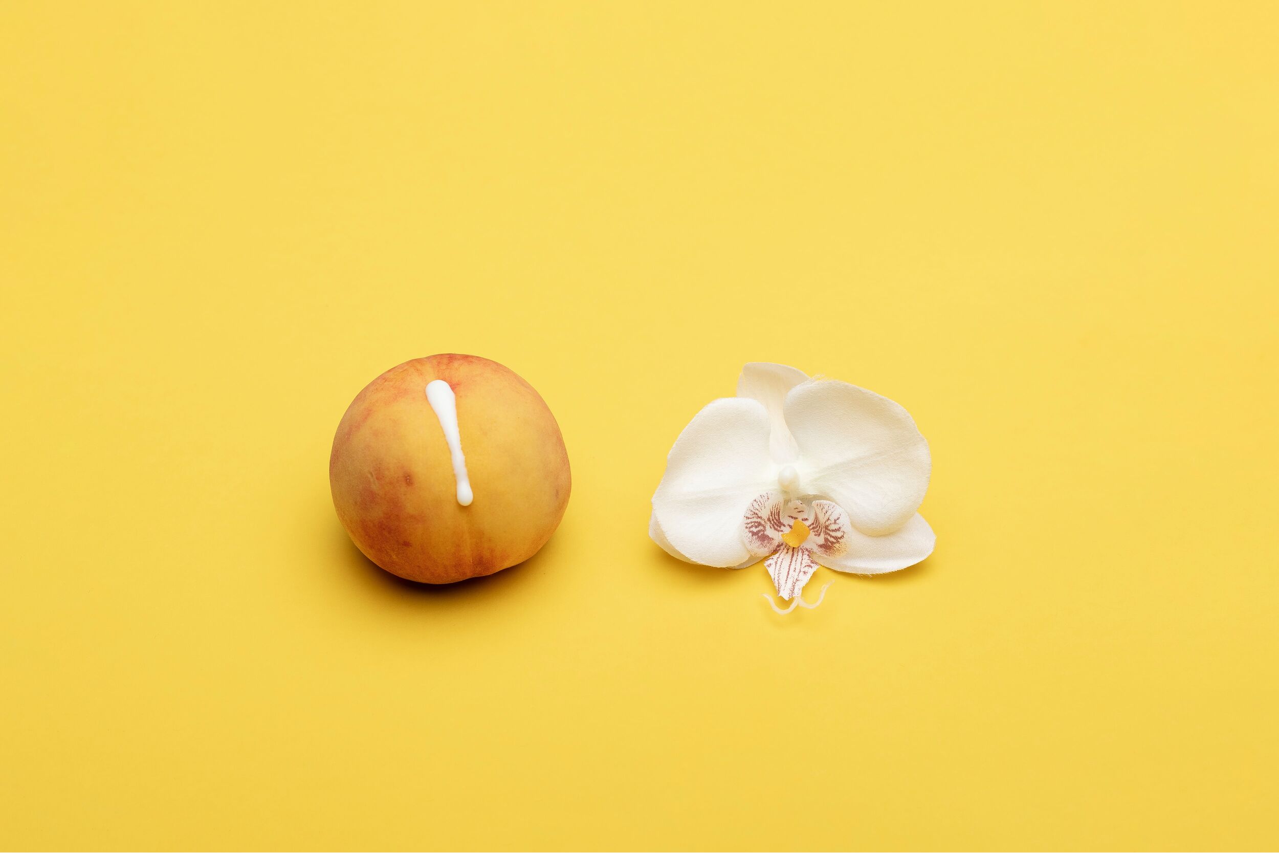 feitjes over sperma