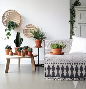 Illustratie voor: Waarom iedereen planten in huis moet hebben