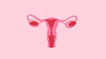 Getekende vagina.