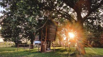 In Nederland kun je overnachten in deze Airbnb-boomhut