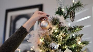 zoveel beestjes zitten er in je kerstboom
